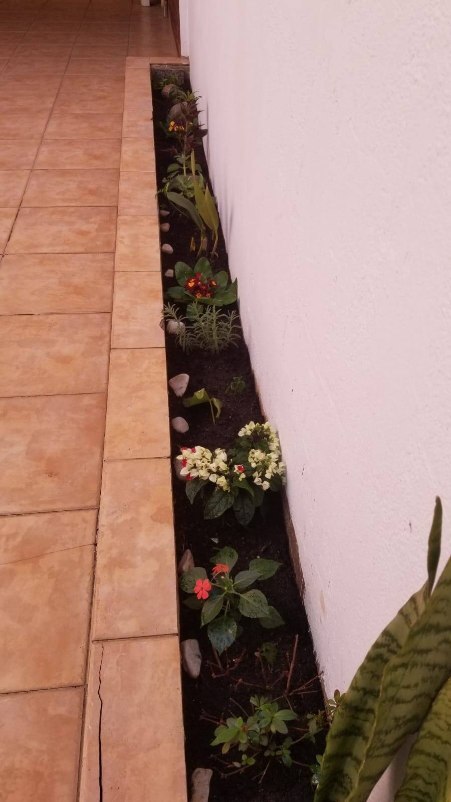 Casa, 2 quartos, 110 m² - Foto 15