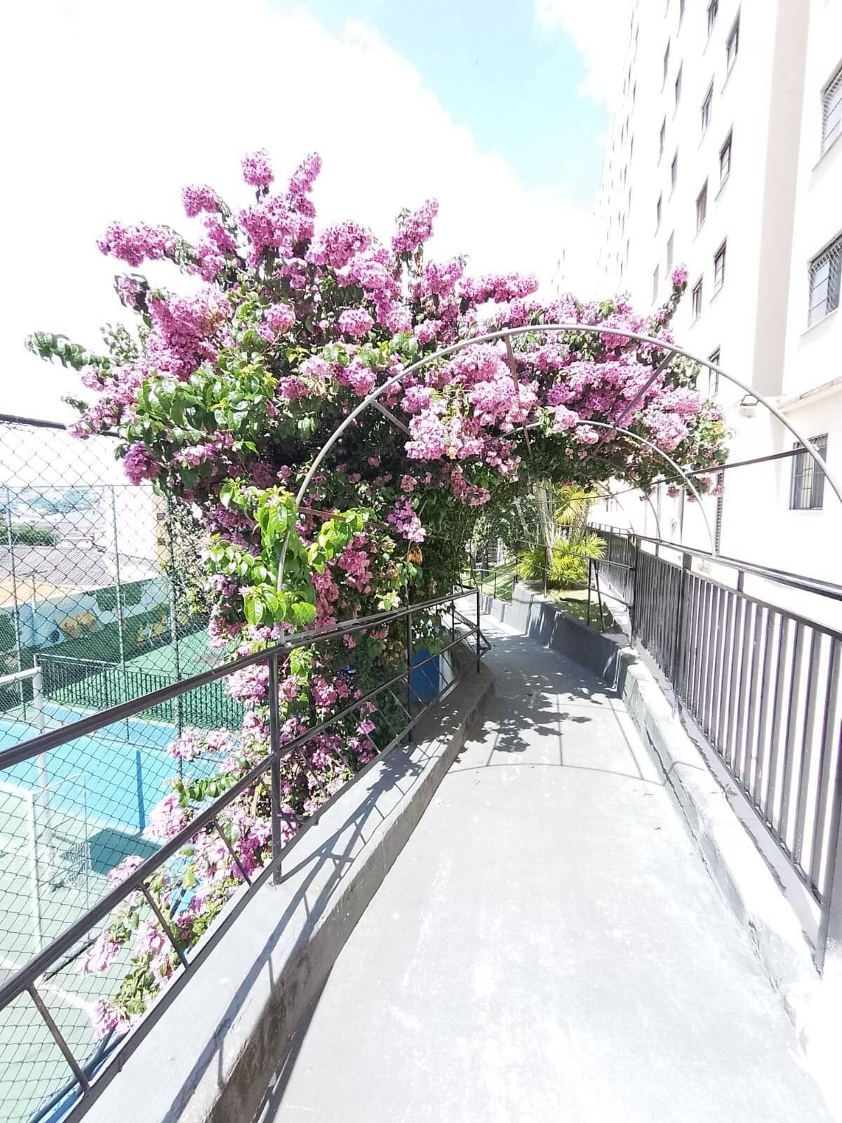 Apartamento, 2 quartos, 50 m² - Foto 3